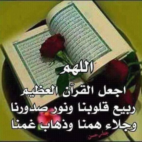 souhadmansour